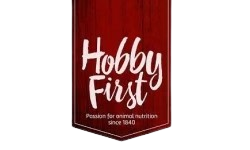 Hobby First