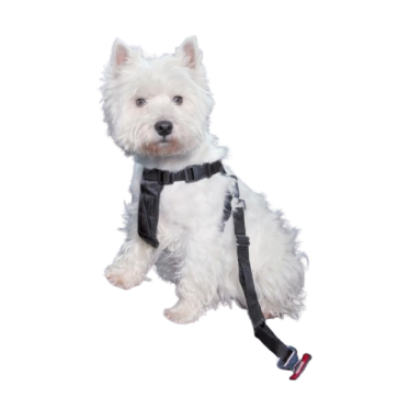 Sikkerhedsseler & Bilsæder