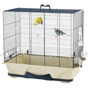 Fuglebure & Tilbehør