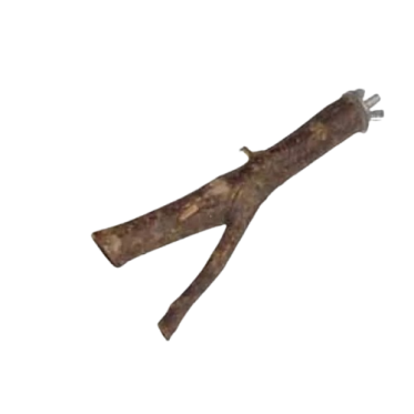 Siddepinde, Stiger & Grenholdere