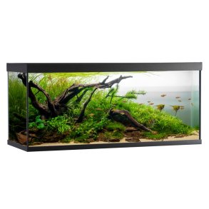Akvastabil Element 240L Akvarie OBS: Bestillingsvare