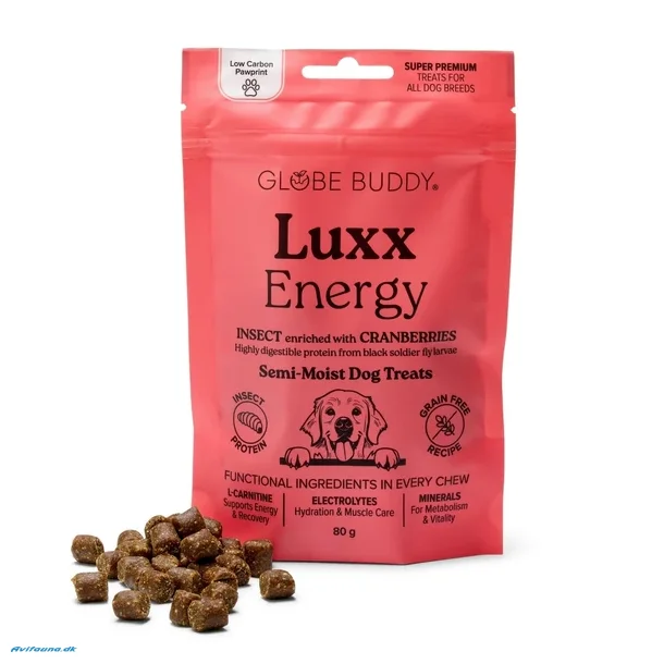 Globe Buddy Luxx Energy | Funktionelle bl�de godbidder | Insektprotein og traneb�r