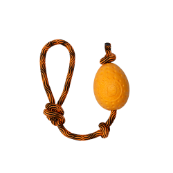 Kiwi Walker - Let's play EGG - MAXI