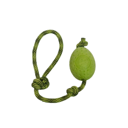 Kiwi Walker - Let's play EGG - MAXI