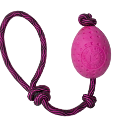 Kiwi Walker - Let's play EGG - MAXI