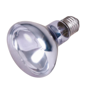 Reptiland Neodymium lampe 100W