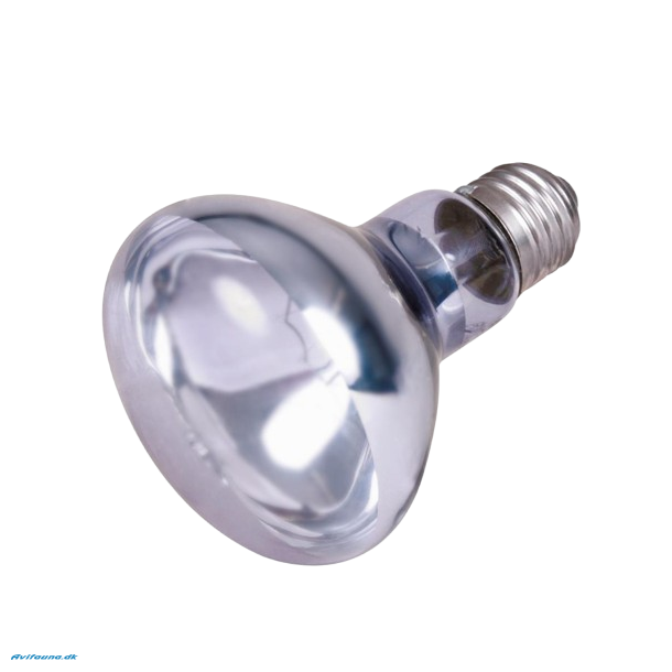 Reptiland Neodymium lampe 100W