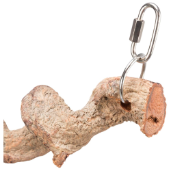 Hanging Perch, Dragon Wood