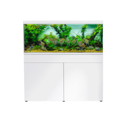 Akvastabil Element 240L Akvarie OBS: Bestillingsvare