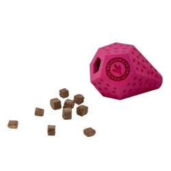 Kiwi Walker - DIABALL aktiveringslegetj - MAXI