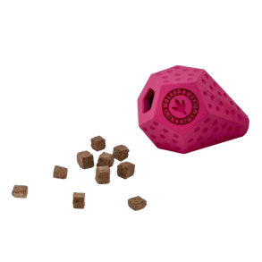 Kiwi Walker - DIABALL aktiveringslegetj - MAXI