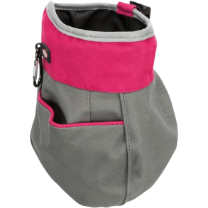 Dog Activity Godbidstaske