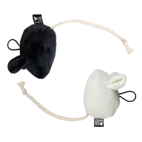 D&D Cat Kattelegetj Moosy