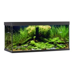 Akvastabil Element 180L Akvarie OBS: Bestillingsvare