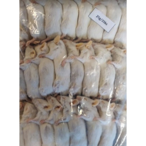 Dybfrosne mus 25 stk 15-25g