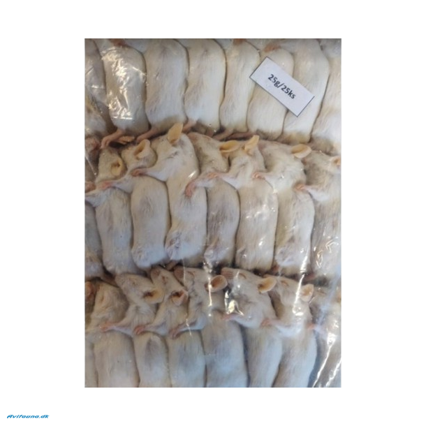 Dybfrosne mus 25 stk 25-30g