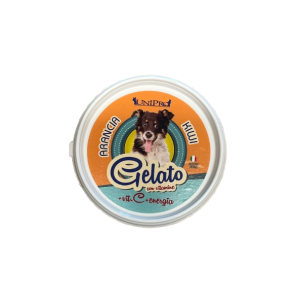 Hunde Is Gelato - Appelsin & Kiwi