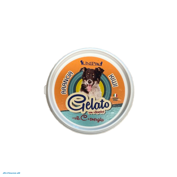 Hunde Is Gelato - Appelsin &amp; Kiwi