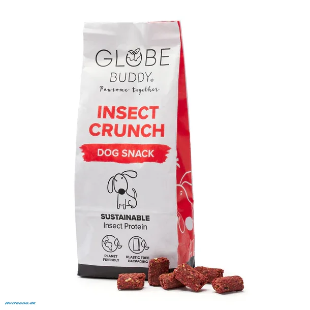 Globe Buddy Insect Chrunch