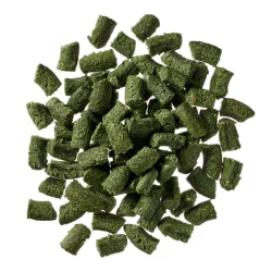 Globe Buddy Spirulina Crunch