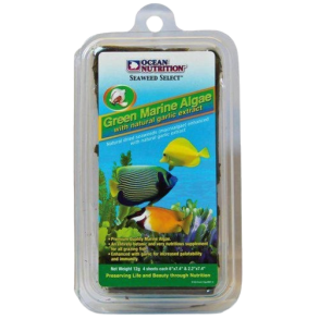 Green Marine Algaeseaweed