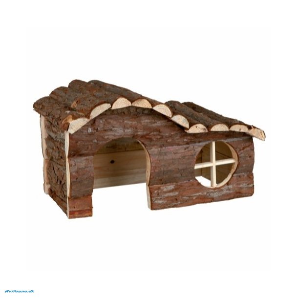 Hanna trhus til marsvin