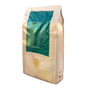 Essential Stamina 10 kg 