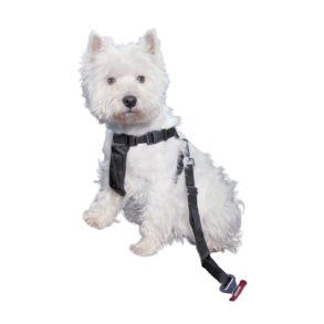 Sikkerhedssele til bil