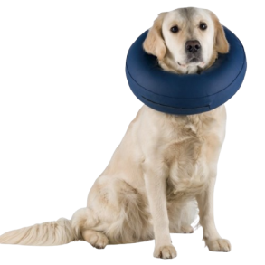 Oppustelig Halskrave