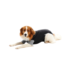 BUSTER Body Suit EasyGo