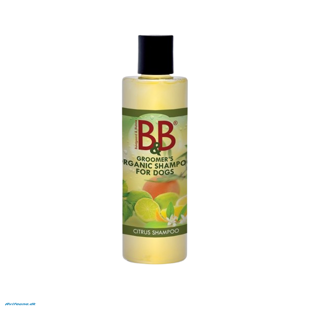 B&B kologisk Citrus Shampoo