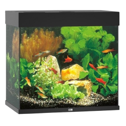 Juwel Lido 120 LED OBS: Bestillingsvare