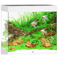 Juwel Lido 200 OBS: Bestillingsvare