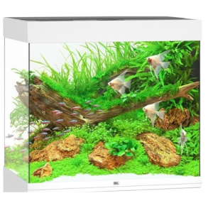 Juwel Lido 200 OBS: Bestillingsvare