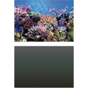 SuperFish Deco Poster A