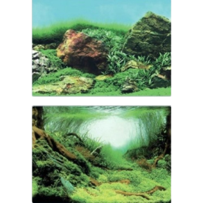 SuperFish Deco Poster C