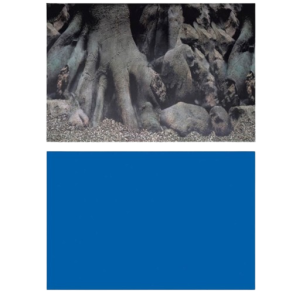 SuperFish Deco Poster D