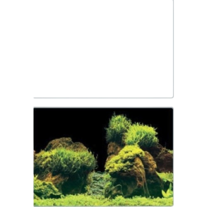 SuperFish Deco Poster E