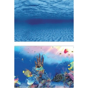 SuperFish Deco Poster F