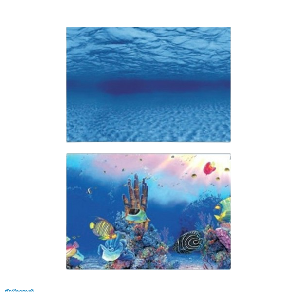 SuperFish Deco Poster F