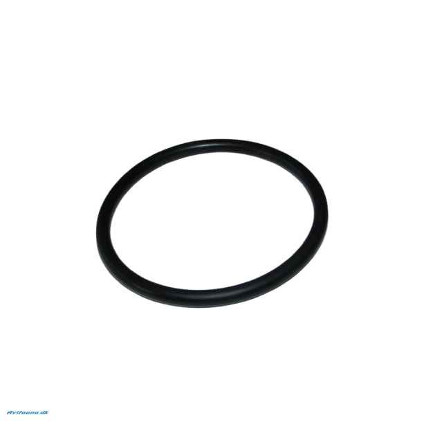 OASE O-ring NBR 54x4 SH40 (25691)