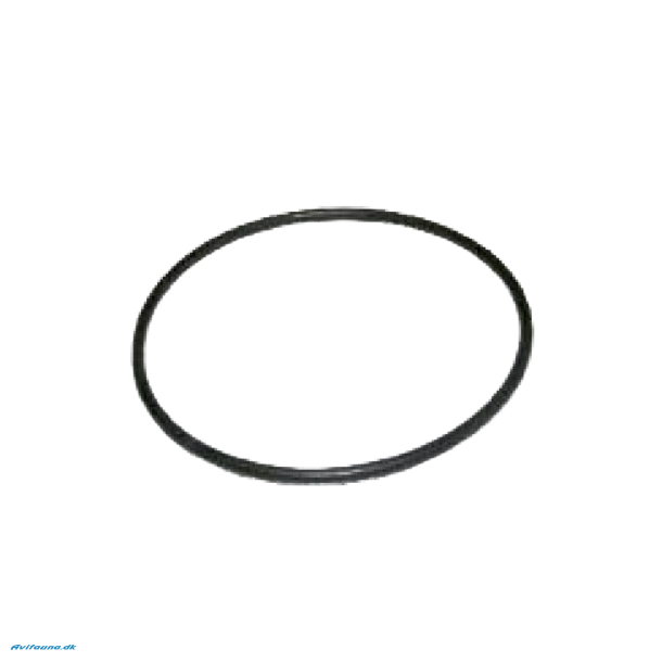 OASE O-ring NBR 60 x 2,5 SH70A (25969)