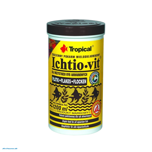 Tropical Ichtio-vit