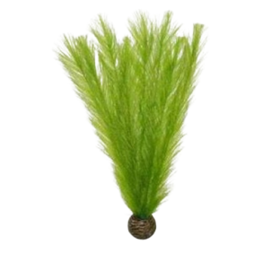 SUPERFISH Easy Plants L.