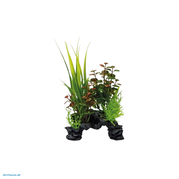 SUPERFISH DECO PLANT ROTALA S (A4070520)