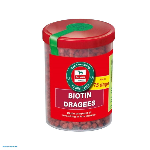 Salvana Biotin Dragee 750 gr.