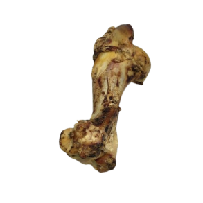 Trret Gigant Okseknogle