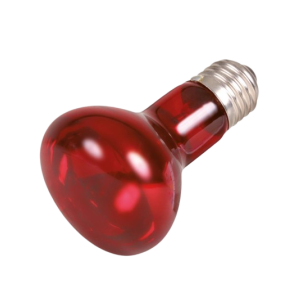 Reptiland Infrard varmepre