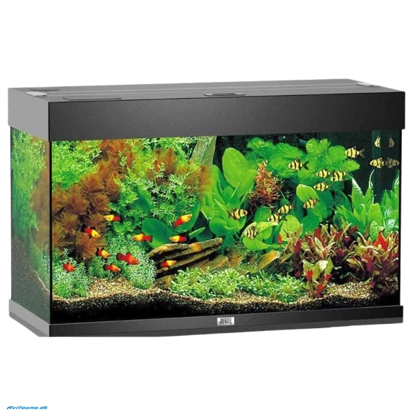 Juwel Rio 125 LED akvarium OBS: Bestillingsvare