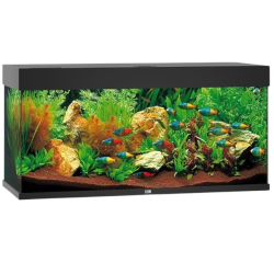 Juwel Rio 180 LED akvarium OBS: Bestillingsvare